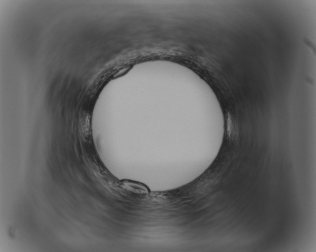 X0000103131492200809121720