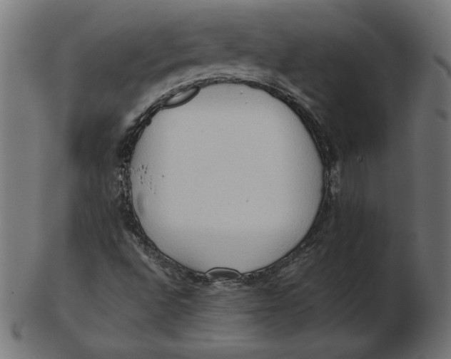 X0000103131496200809121720