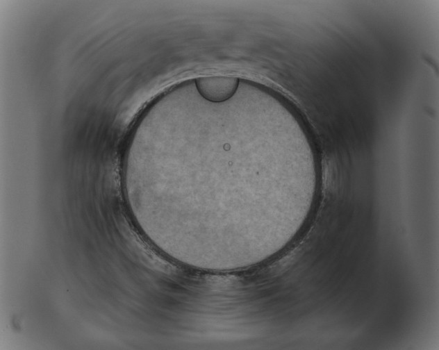 X0000103131498200809121720