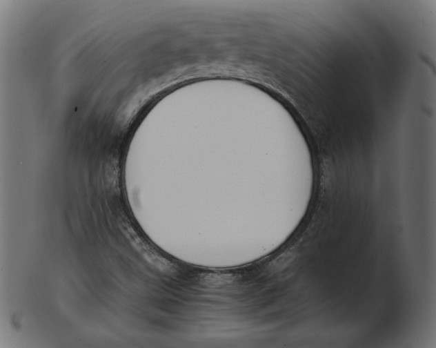 X0000103131499200809121720