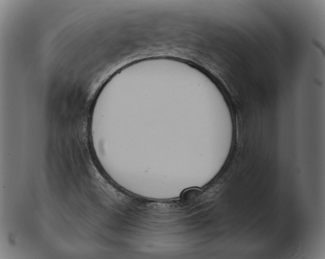 X0000103131500200809121720