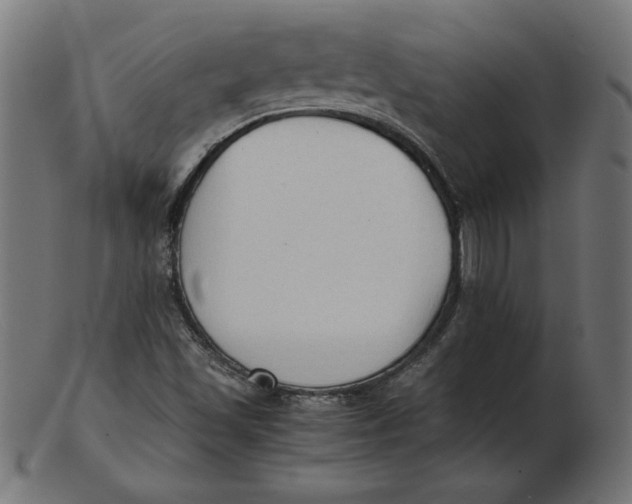 X0000103131501200809121720