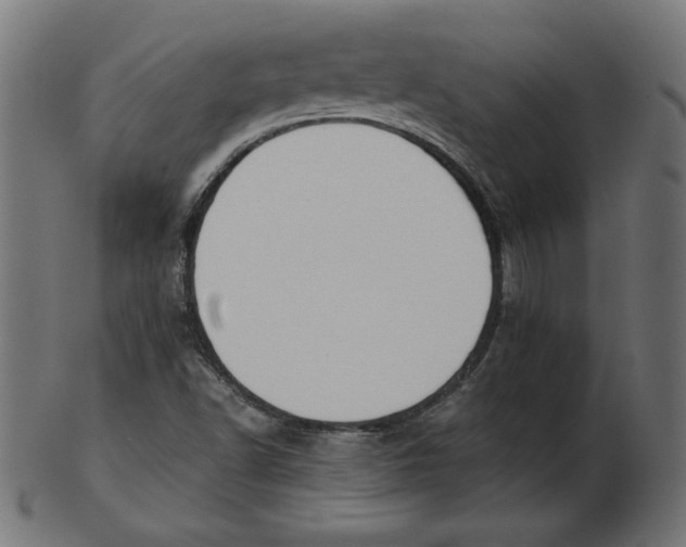 X0000103131502200809121720