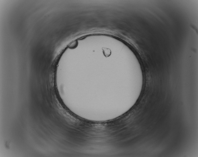 X0000103131504200809121720