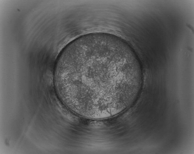 X0000103131505200809121720