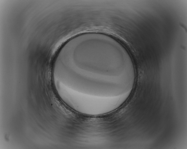 X0000103131506200809121720