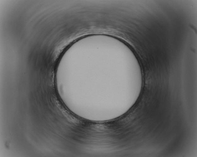 X0000103131507200809121720