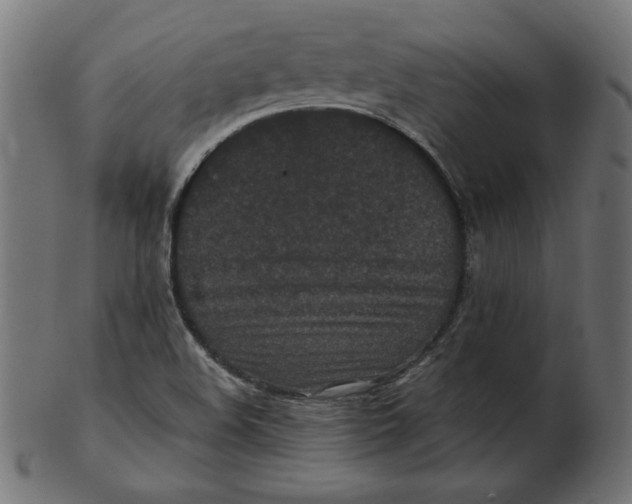 X0000103131508200809121720