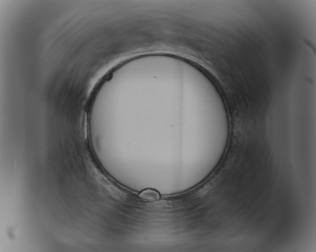 X0000103131510200809121720