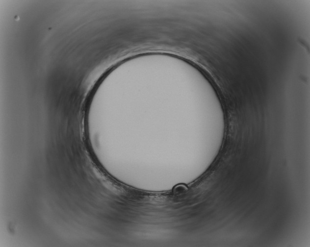 X0000103131511200809121720