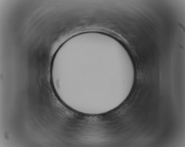 X0000103131512200809121720