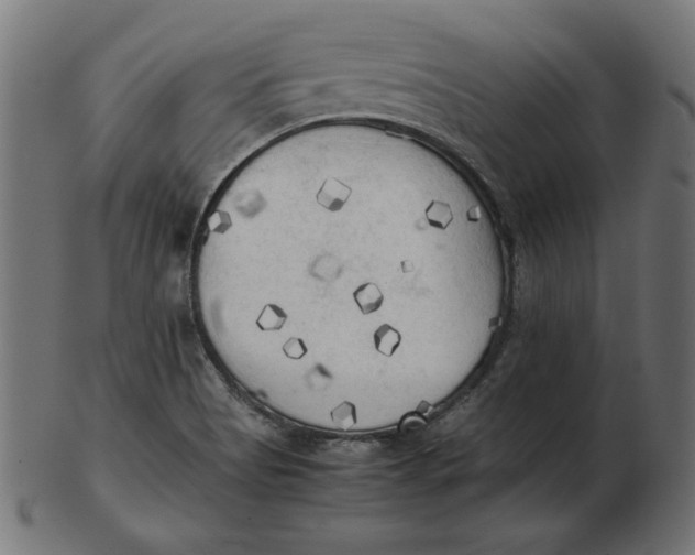 X0000103131513200809121720