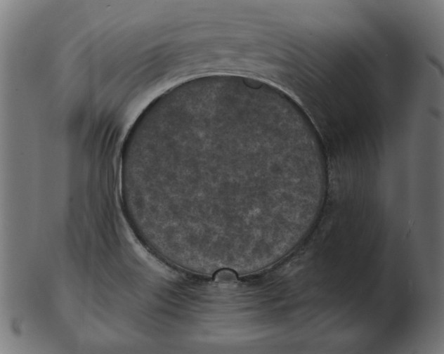X0000103131515200809121720