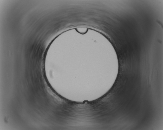 X0000103131518200809121720
