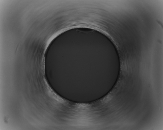 X0000103131522200809121720