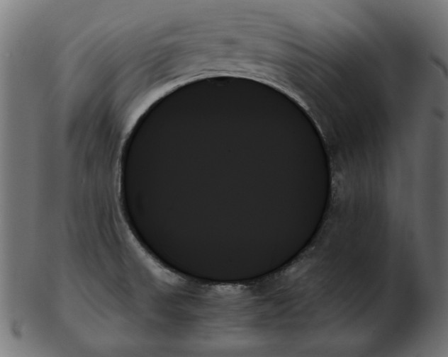 X0000103131523200809121720