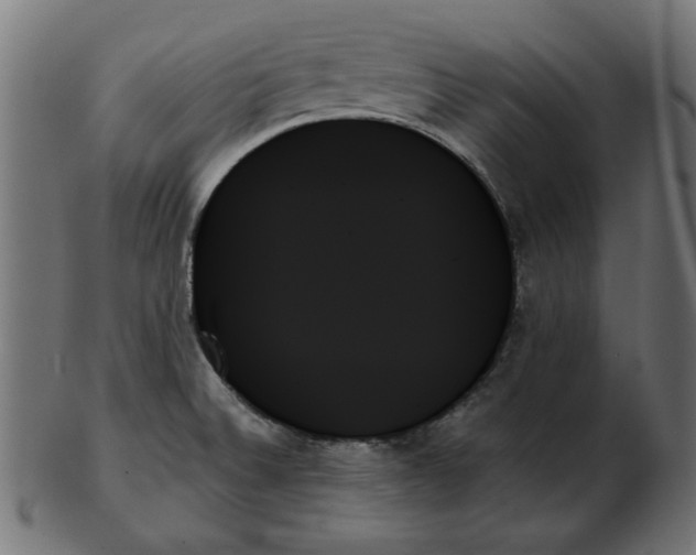 X0000103131524200809121720