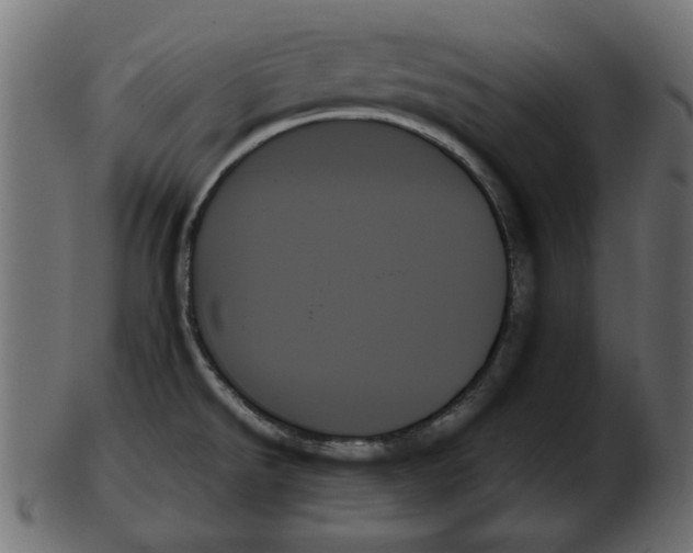 X0000103131526200809121720