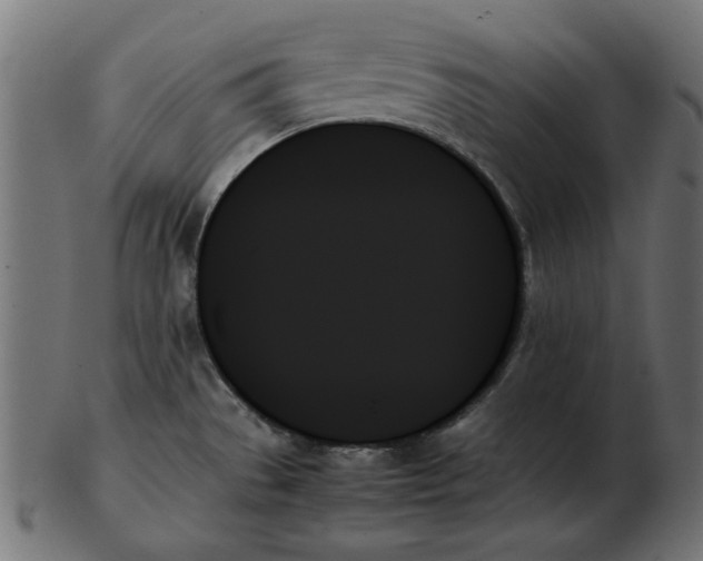 X0000103131529200809121720
