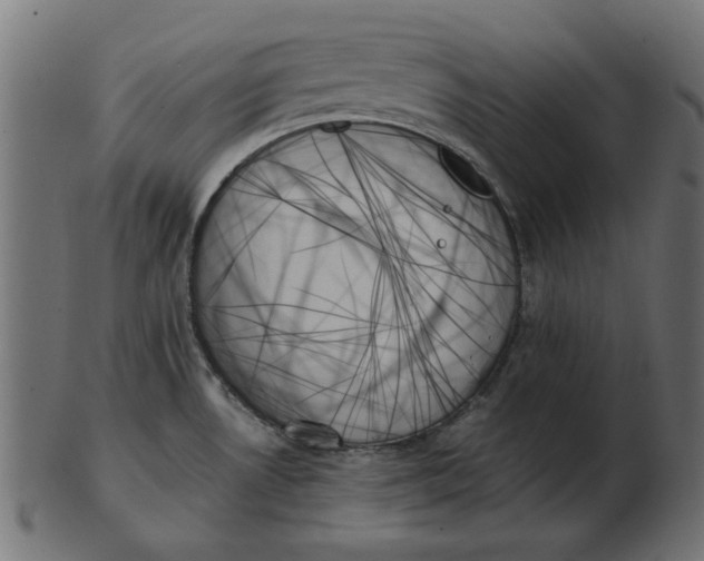 X0000103131530200809121720