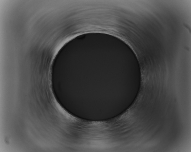 X0000103131531200809121720