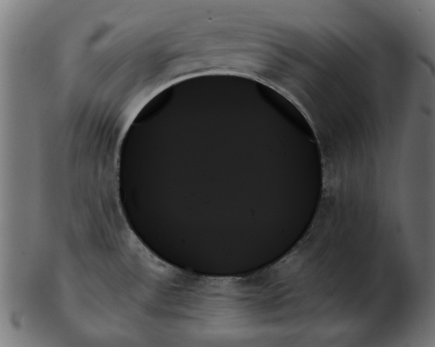 X0000103131532200809121720