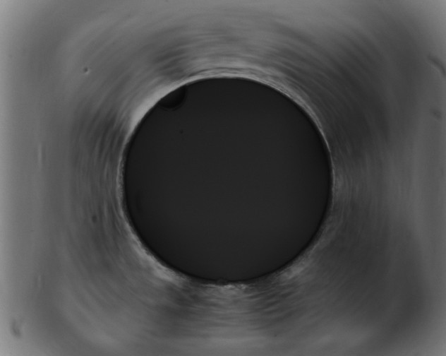 X0000103131533200809121720
