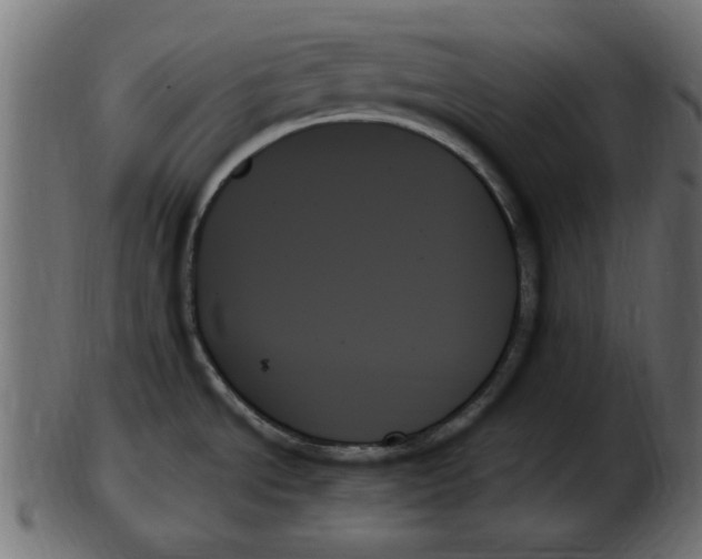 X0000103131534200809121720