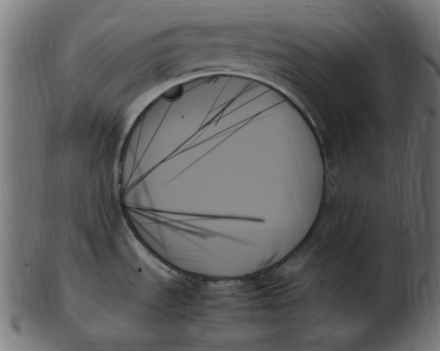 X0000103131535200809121720