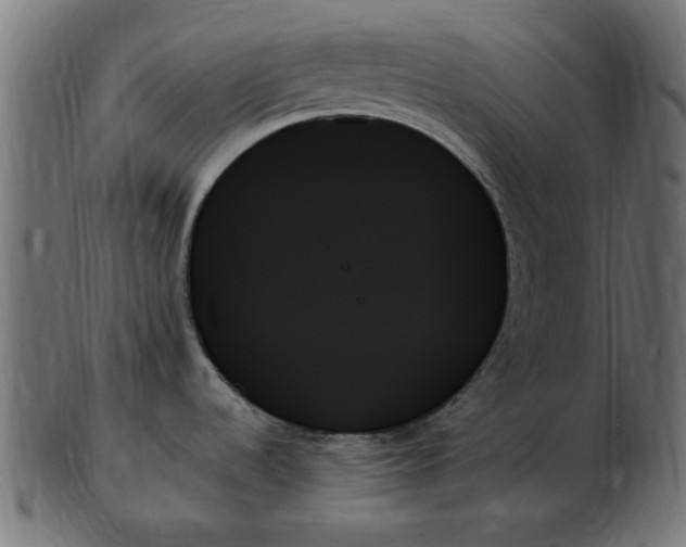 X0000103131536200809121720