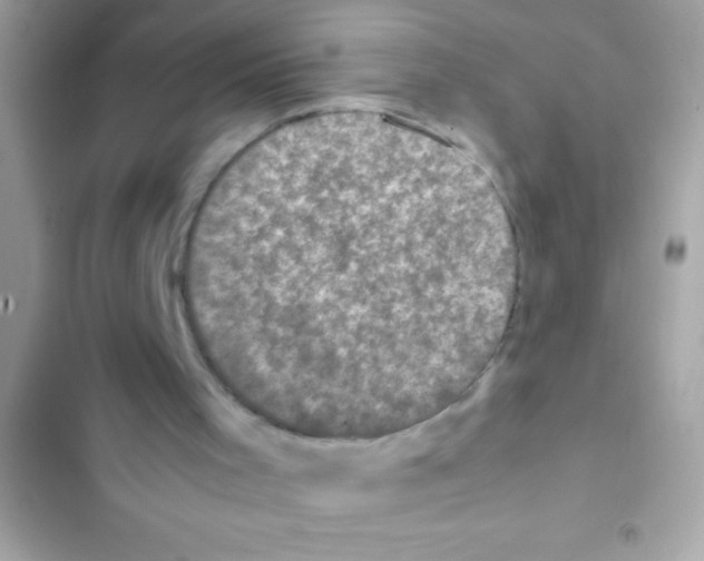 X0000103130001200809191952