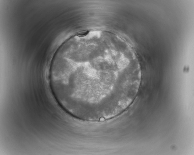 X0000103130002200809191952