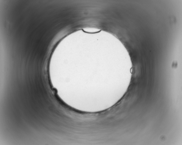X0000103130004200809191952