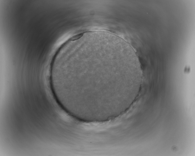 X0000103130005200809191952