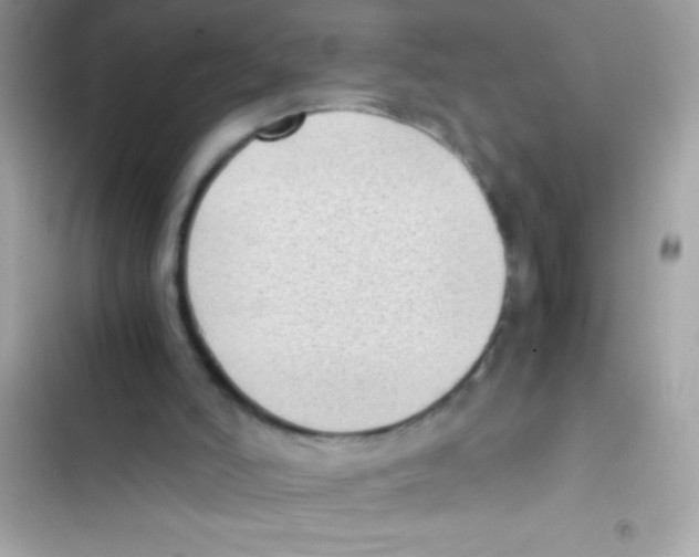 X0000103130006200809191952