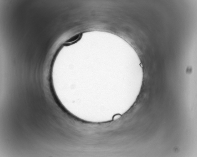 X0000103130007200809191952