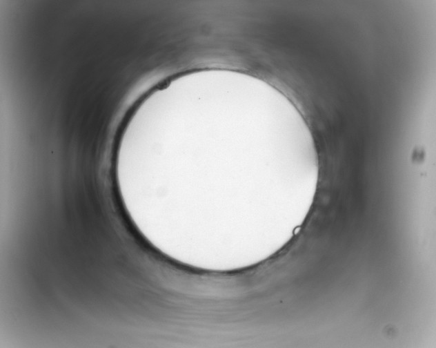 X0000103130008200809191952