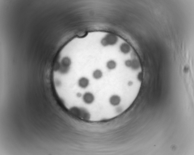 X0000103130010200809191952