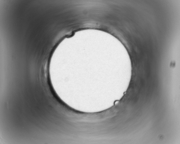 X0000103130011200809191952