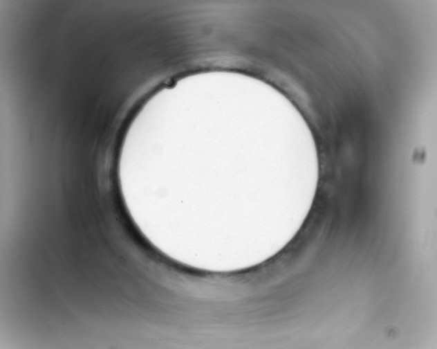 X0000103130012200809191952