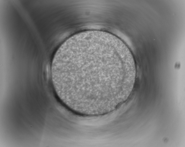 X0000103130013200809191952
