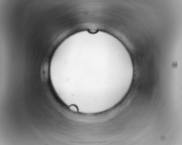 X0000103130014200809191952