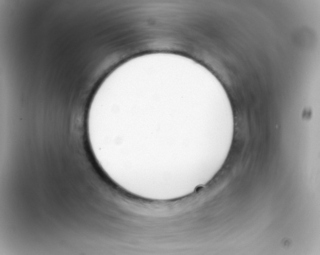 X0000103130015200809191952