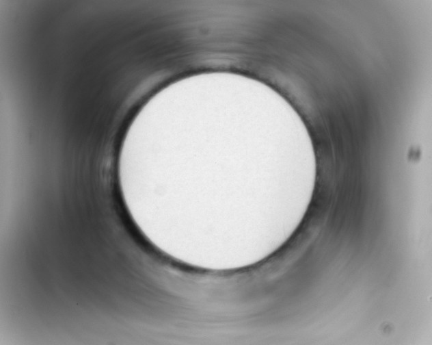 X0000103130016200809191952