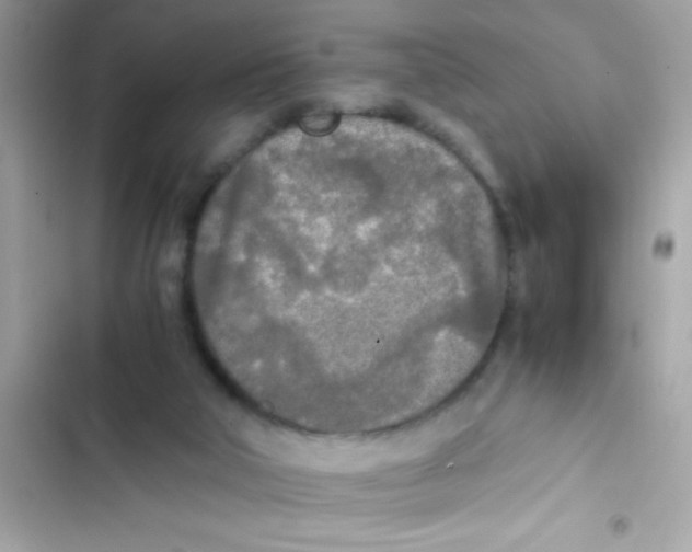 X0000103130018200809191952