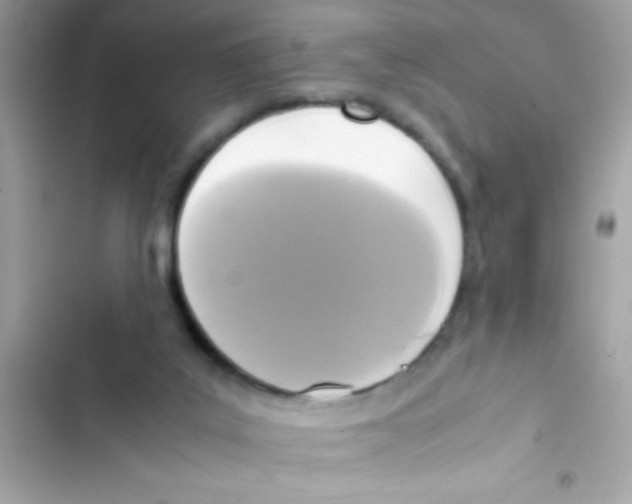 X0000103130019200809191952