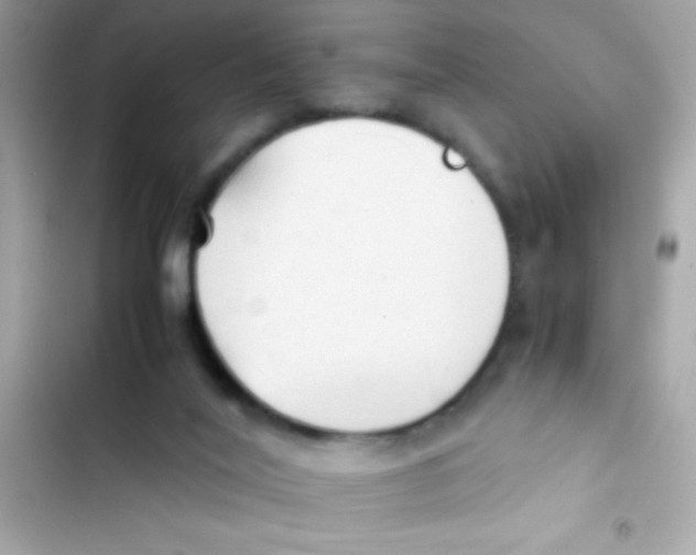 X0000103130020200809191952