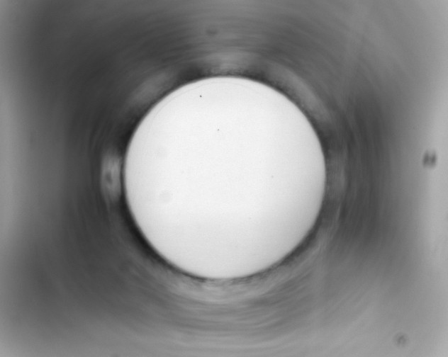 X0000103130022200809191952