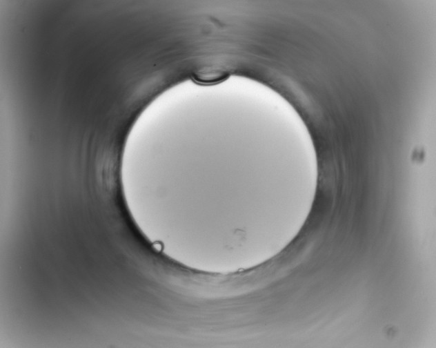 X0000103130023200809191952