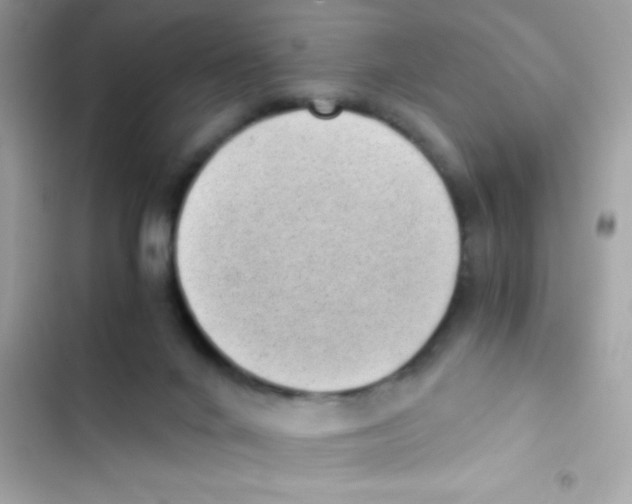 X0000103130024200809191952